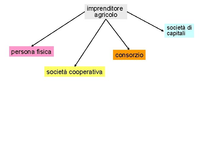 imprenditore agricolo società di capitali persona fisica società cooperativa consorzio 