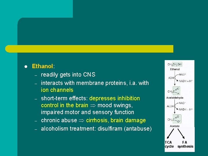 l Ethanol: – readily gets into CNS – interacts with membrane proteins, i. a.