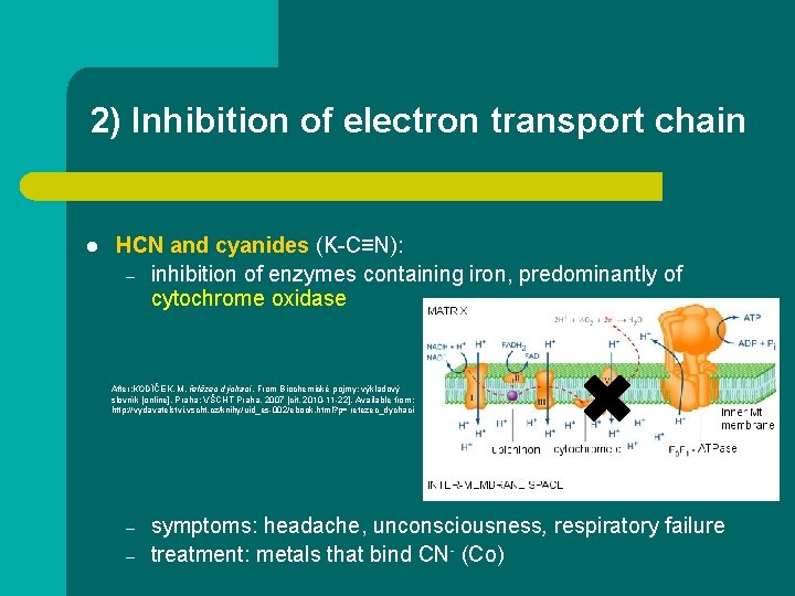 2) Inhibition of electron transport chain l HCN and cyanides (K-C≡N): – inhibition of 2) Inhibition of electron transport chain l HCN and cyanides (K-C≡N): – inhibition of
