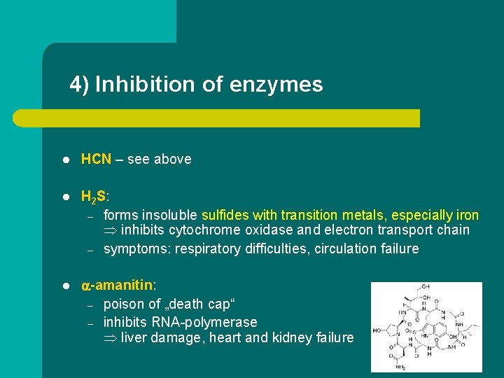 4) Inhibition of enzymes l HCN – see above l H 2 S: –