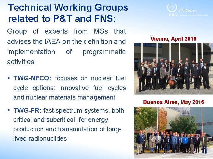 Technical Working Groups related to P&T and FNS: Group of experts from MSs that