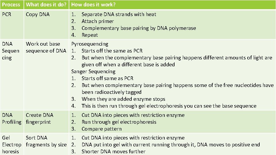 Process What does it do? How does it work? PCR Copy DNA Sequen cing