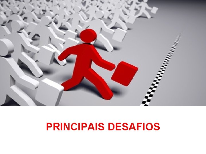 PRINCIPAIS DESAFIOS 