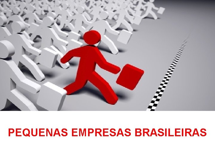 PEQUENAS EMPRESAS BRASILEIRAS 