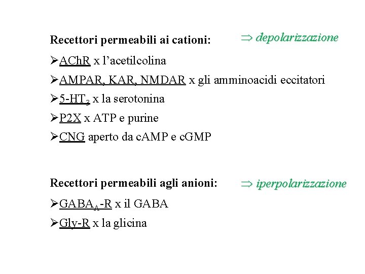 Recettori permeabili ai cationi: depolarizzazione ØACh. R x l’acetilcolina ØAMPAR, KAR, NMDAR x gli