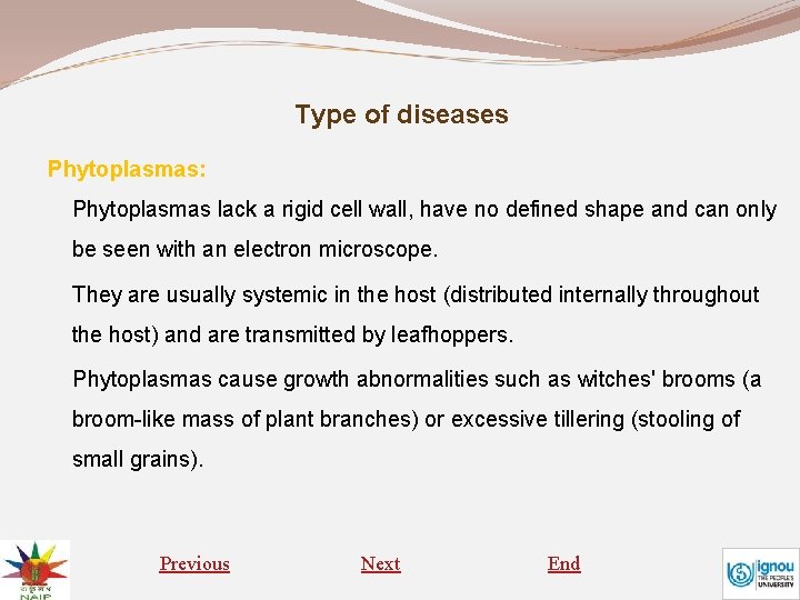 Type of diseases Phytoplasmas: Phytoplasmas lack a rigid cell wall, have no defined shape