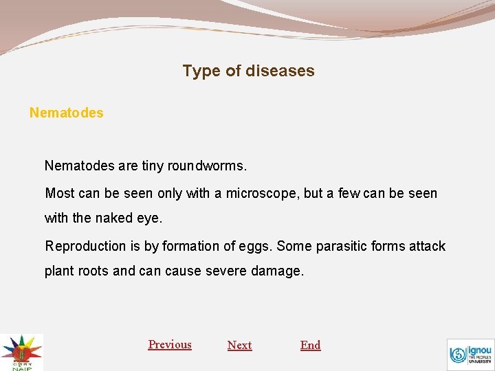 Type of diseases Nematodes are tiny roundworms. Most can be seen only with a