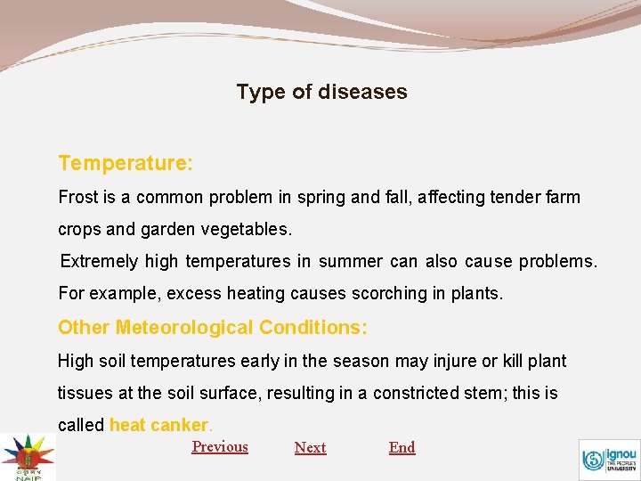 Type of diseases Temperature: Frost is a common problem in spring and fall, affecting