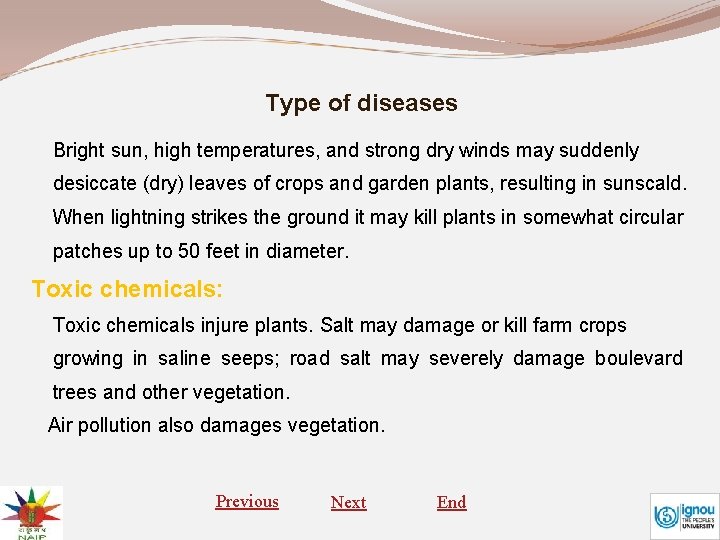 Type of diseases Bright sun, high temperatures, and strong dry winds may suddenly desiccate