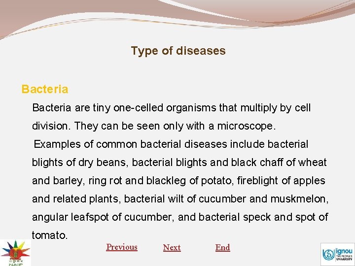 Type of diseases Bacteria are tiny one-celled organisms that multiply by cell division. They