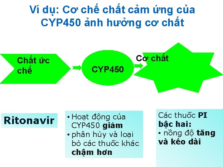 Ví dụ: Cơ chế chất cảm ứng của CYP 450 ảnh hưởng cơ chất
