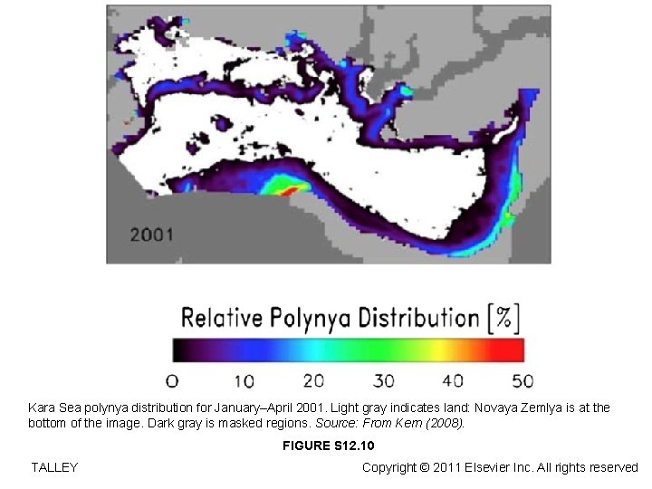 Kara Sea polynya distribution for January–April 2001. Light gray indicates land: Novaya Zemlya is