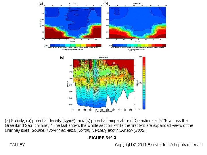 (a) Salinity, (b) potential density (kg/m 3), and (c) potential temperature (°C) sections at