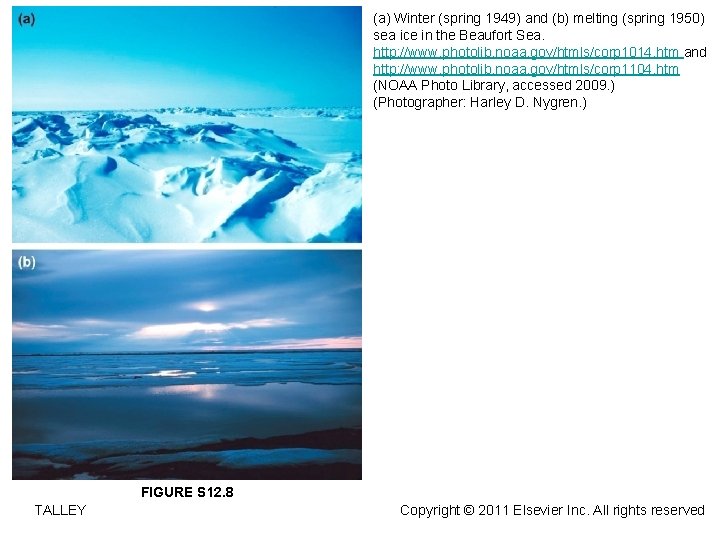 (a) Winter (spring 1949) and (b) melting (spring 1950) sea ice in the Beaufort