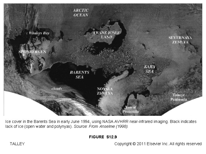 Ice cover in the Barents Sea in early June 1994, using NASA AVHRR near-infrared