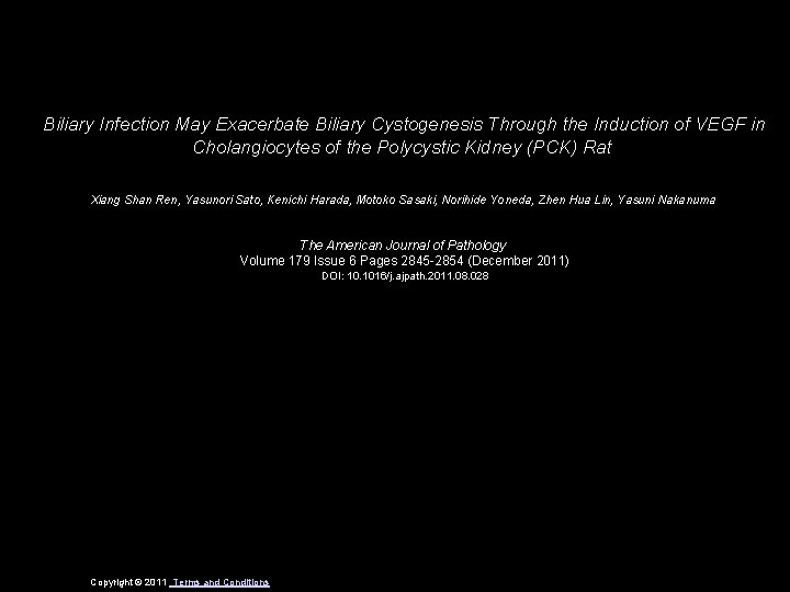 Biliary Infection May Exacerbate Biliary Cystogenesis Through the Induction of VEGF in Cholangiocytes of