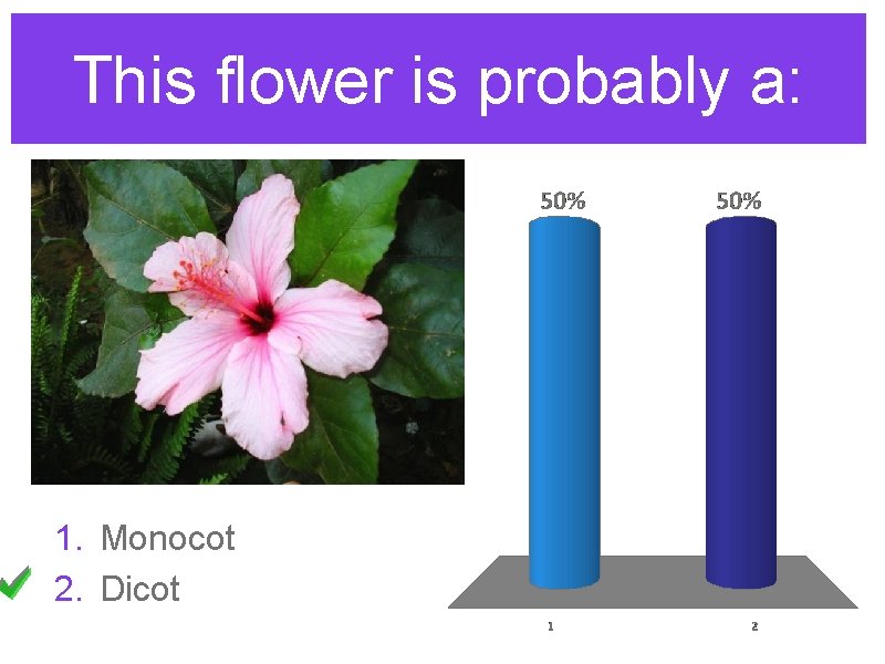 This flower is probably a: 1. Monocot 2. Dicot 