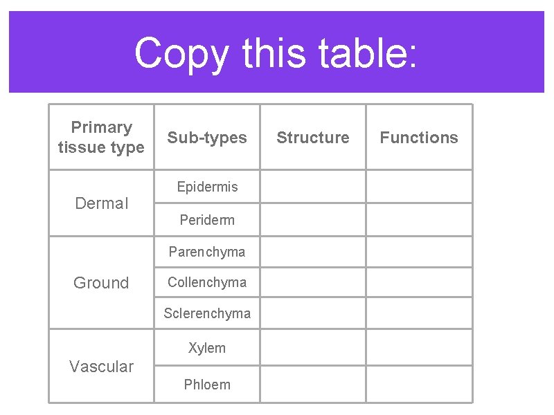 Copy this table: Primary tissue type Dermal Sub-types Epidermis Periderm Parenchyma Ground Collenchyma Sclerenchyma