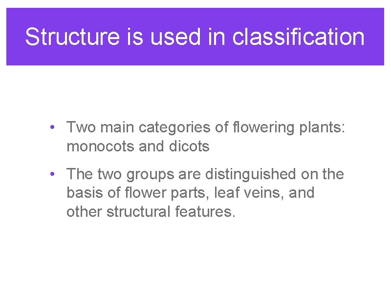 Structure is used in classification • Two main categories of flowering plants: monocots and