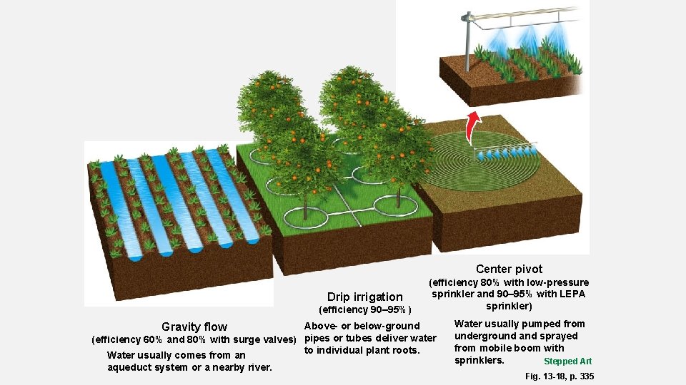 Center pivot Drip irrigation (efficiency 90– 95%) Gravity flow (efficiency 80% with low-pressure sprinkler