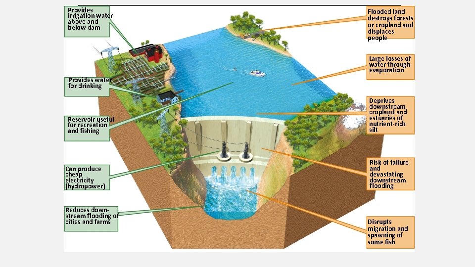 Provides irrigation water above and below dam Flooded land destroys forests or cropland displaces