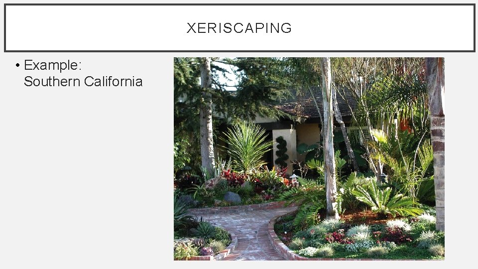 XERISCAPING • Example: Southern California 