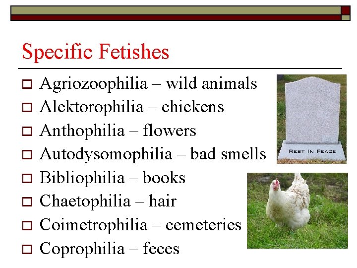Specific Fetishes o o o o Agriozoophilia – wild animals Alektorophilia – chickens Anthophilia