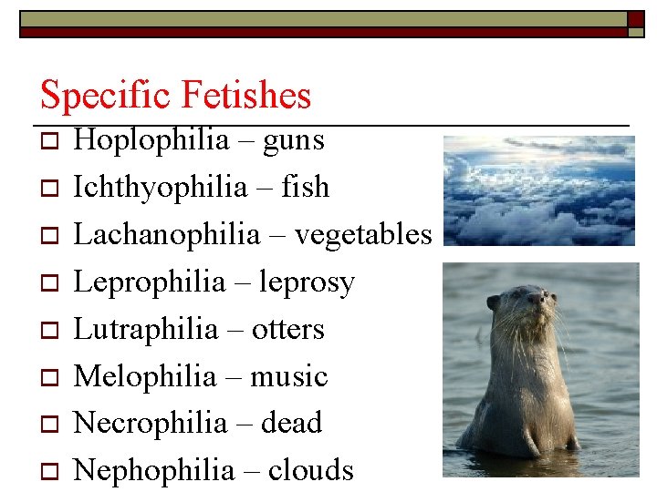 Specific Fetishes o o o o Hoplophilia – guns Ichthyophilia – fish Lachanophilia –