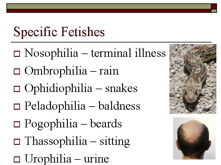 Specific Fetishes Nosophilia – terminal illness o Ombrophilia – rain o Ophidiophilia – snakes