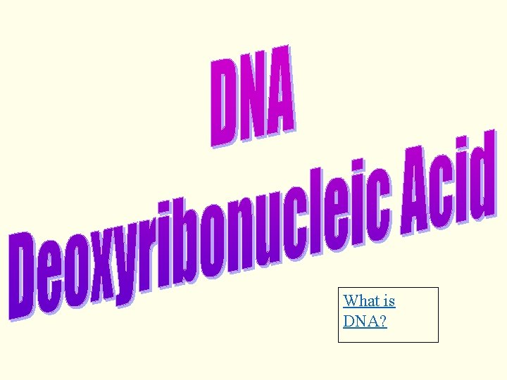 What is DNA? 