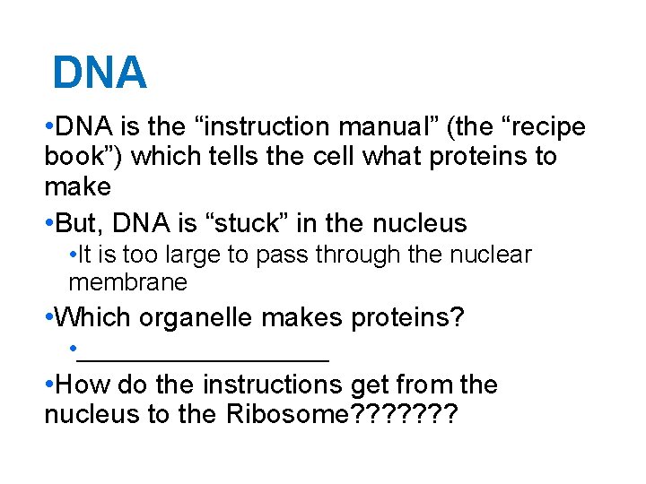DNA • DNA is the “instruction manual” (the “recipe book”) which tells the cell