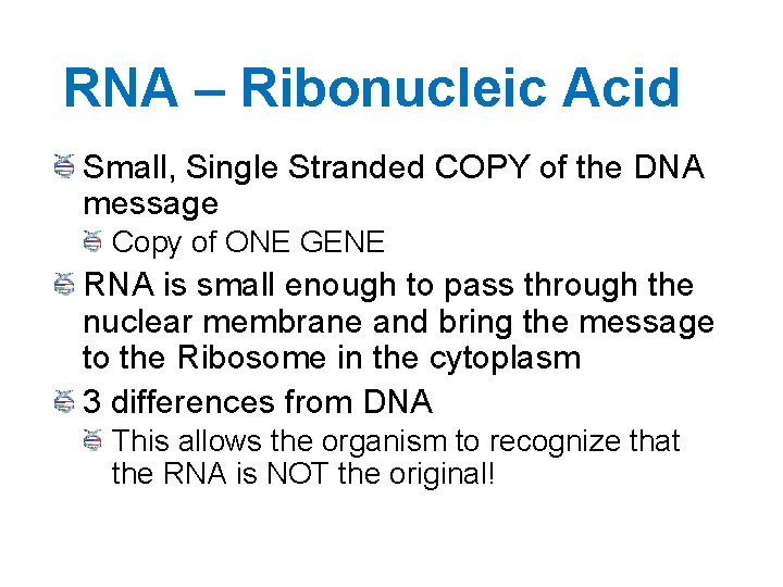 RNA – Ribonucleic Acid Small, Single Stranded COPY of the DNA message Copy of