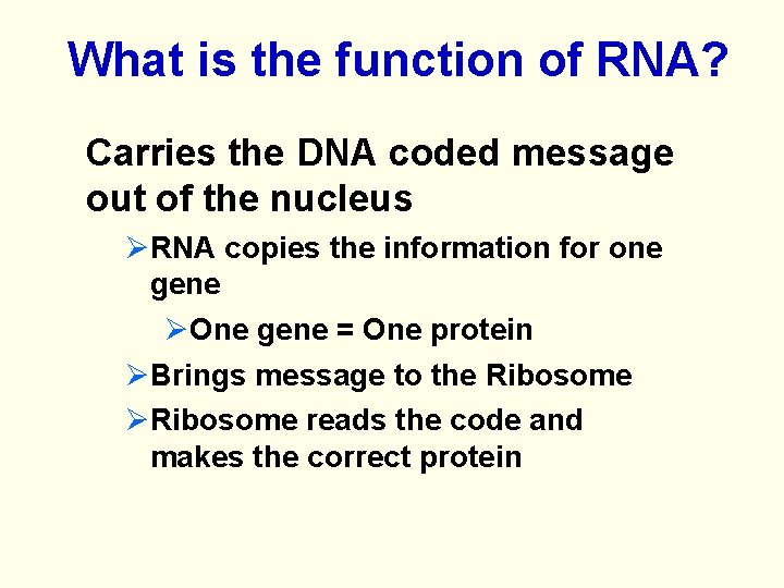 What is the function of RNA? Carries the DNA coded message out of the