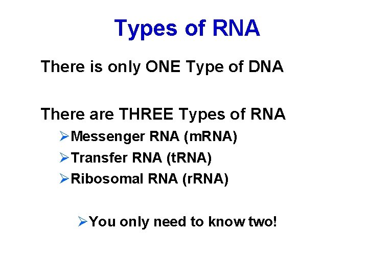 Types of RNA There is only ONE Type of DNA There are THREE Types