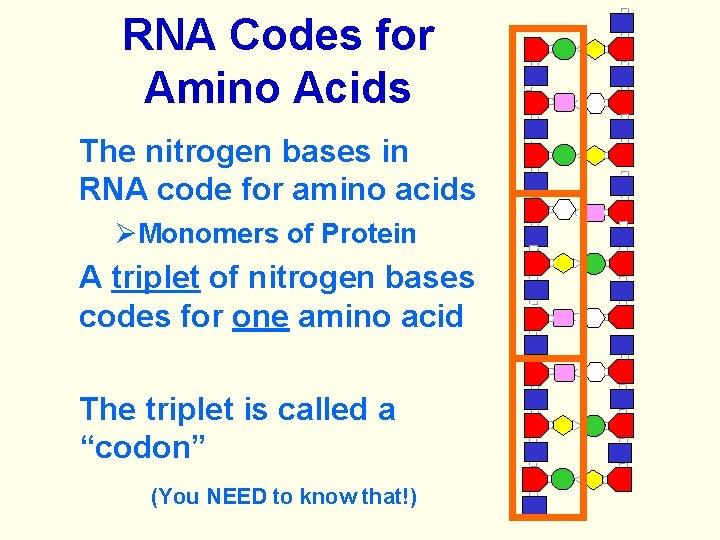RNA Codes for Amino Acids The nitrogen bases in RNA code for amino acids
