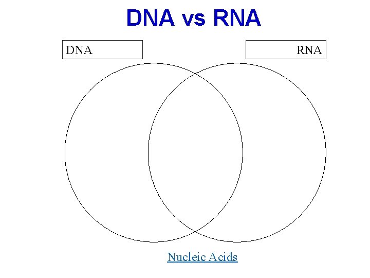 DNA vs RNA DNA RNA Nucleic Acids 