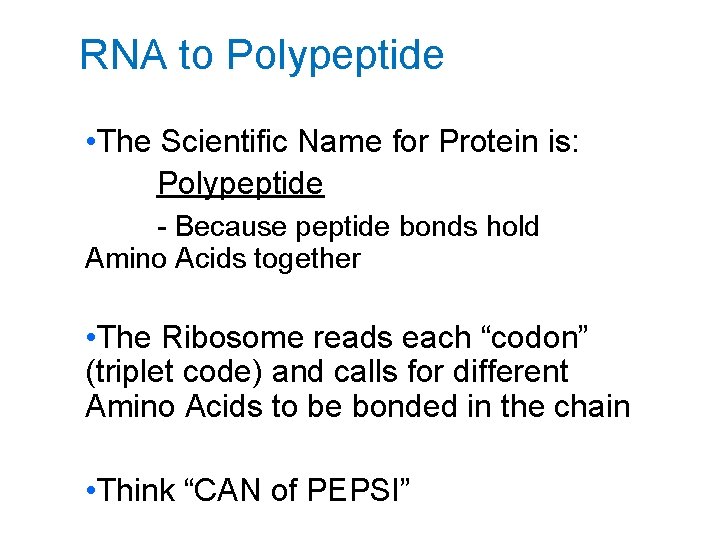 RNA to Polypeptide • The Scientific Name for Protein is: Polypeptide - Because peptide