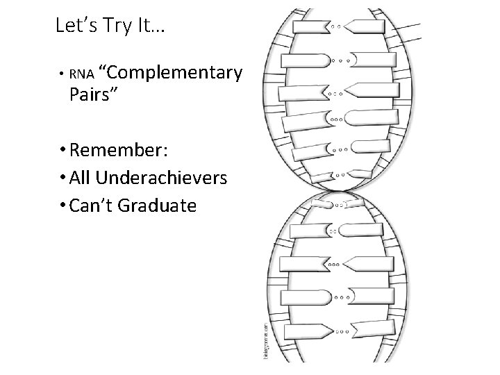 Let’s Try It… • RNA “Complementary Pairs” • Remember: • All Underachievers • Can’t