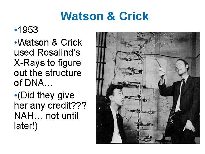Watson & Crick • 1953 • Watson & Crick used Rosalind's X-Rays to figure