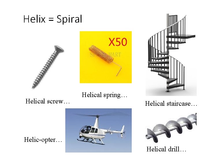 Helix = Spiral Helical screw… Helical spring… Helical staircase… Helic-opter… Helical drill… 