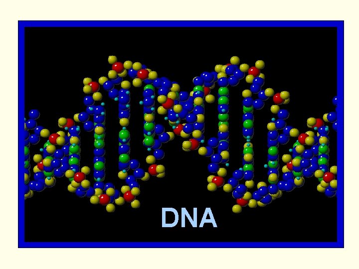 DNA 