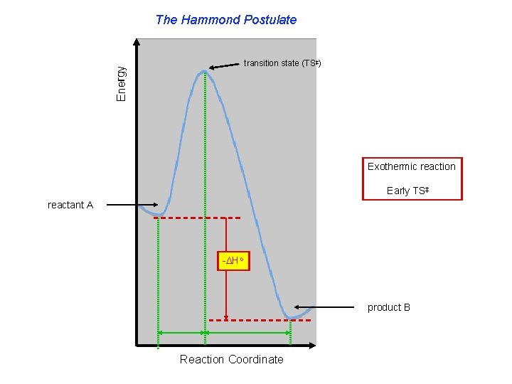 The Hammond Postulate Energy transition state (TS‡) Exothermic reaction Early TS‡ reactant A -