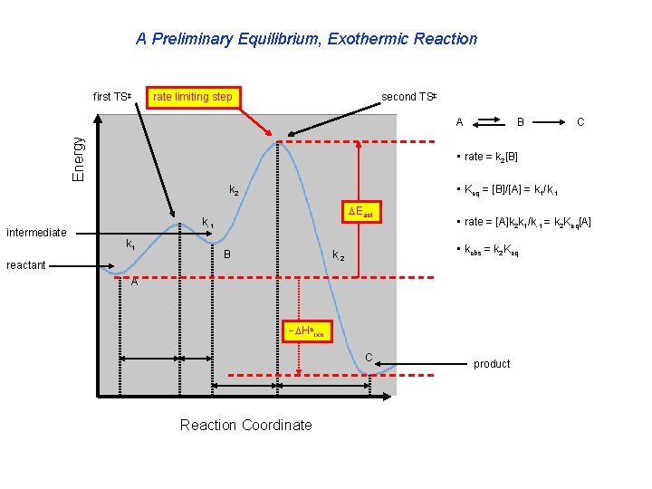 A Preliminary Equilibrium, Exothermic Reaction first TS‡ rate limiting step second TS‡ Energy A
