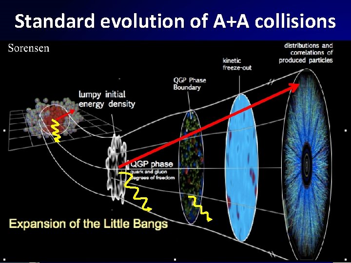 Standard evolution of A+A collisions 6 