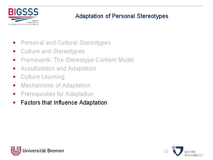 Adaptation of Personal Stereotypes § § § § Personal and Cultural Stereotypes Culture and