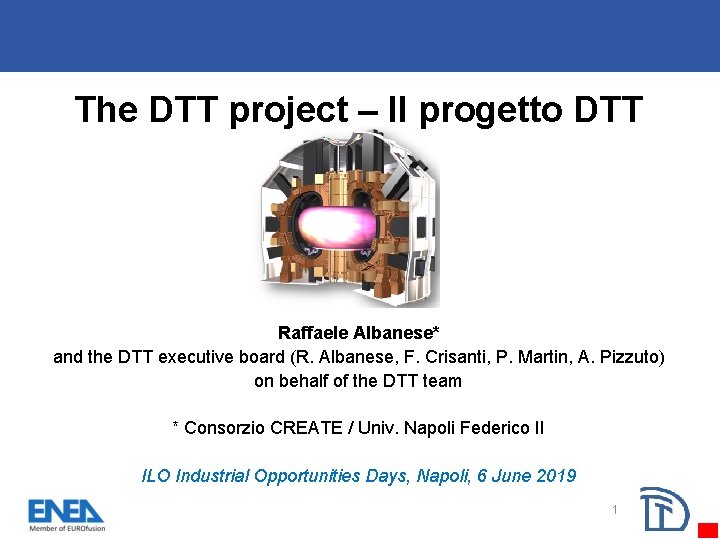 The DTT project – Il progetto DTT Raffaele Albanese* and the DTT executive board