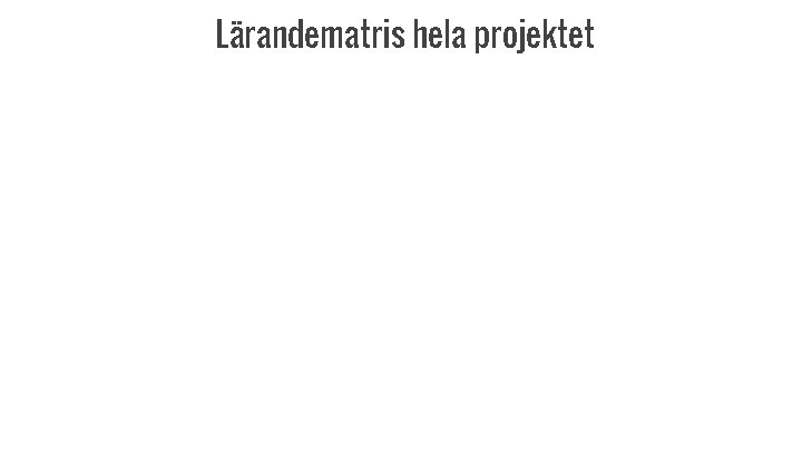 Lärandematris hela projektet 