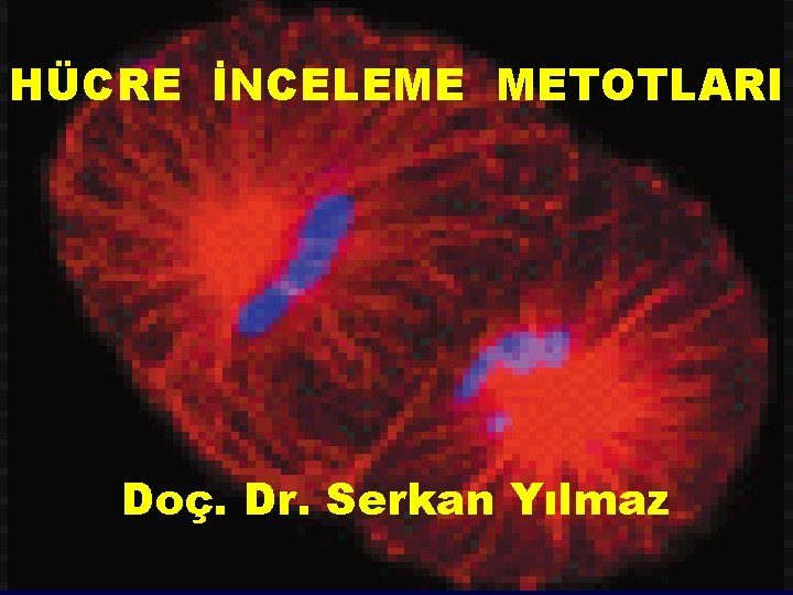 HÜCRE İNCELEME METOTLARI Doç. Dr. Serkan Yılmaz HÜCRE İNCELEME METOTLARI Doç. Dr. Serkan Yılmaz