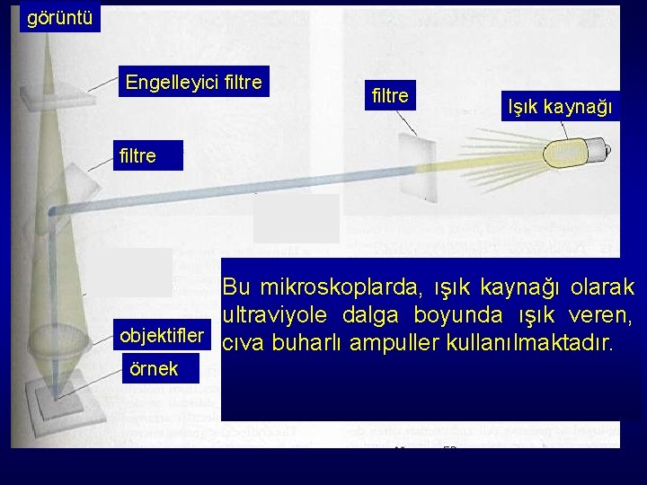 görüntü Engelleyici filtre Işık kaynağı filtre Bu mikroskoplarda, ışık kaynağı olarak ultraviyole dalga boyunda görüntü Engelleyici filtre Işık kaynağı filtre Bu mikroskoplarda, ışık kaynağı olarak ultraviyole dalga boyunda