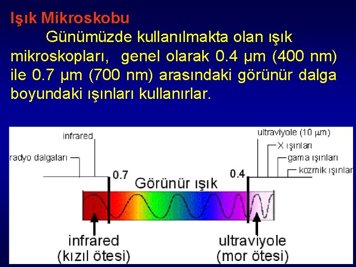 Işık Mikroskobu Günümüzde kullanılmakta olan ışık mikroskopları, genel olarak 0. 4 µm (400 nm) Işık Mikroskobu Günümüzde kullanılmakta olan ışık mikroskopları, genel olarak 0. 4 µm (400 nm)